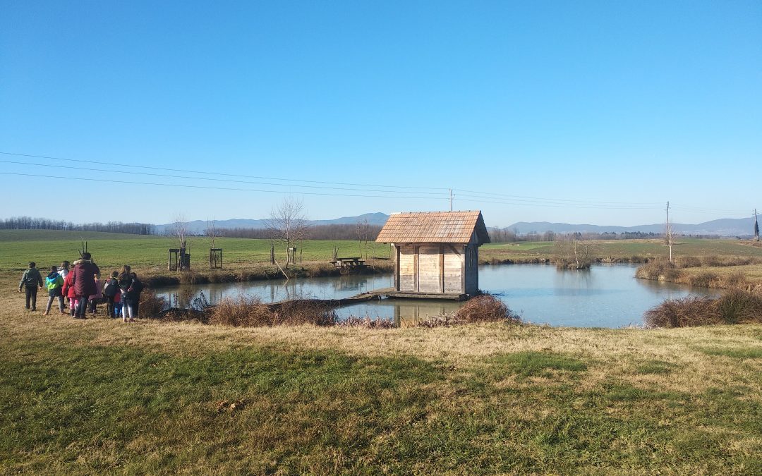 Sprehod do ribnika – PŠ Griblje