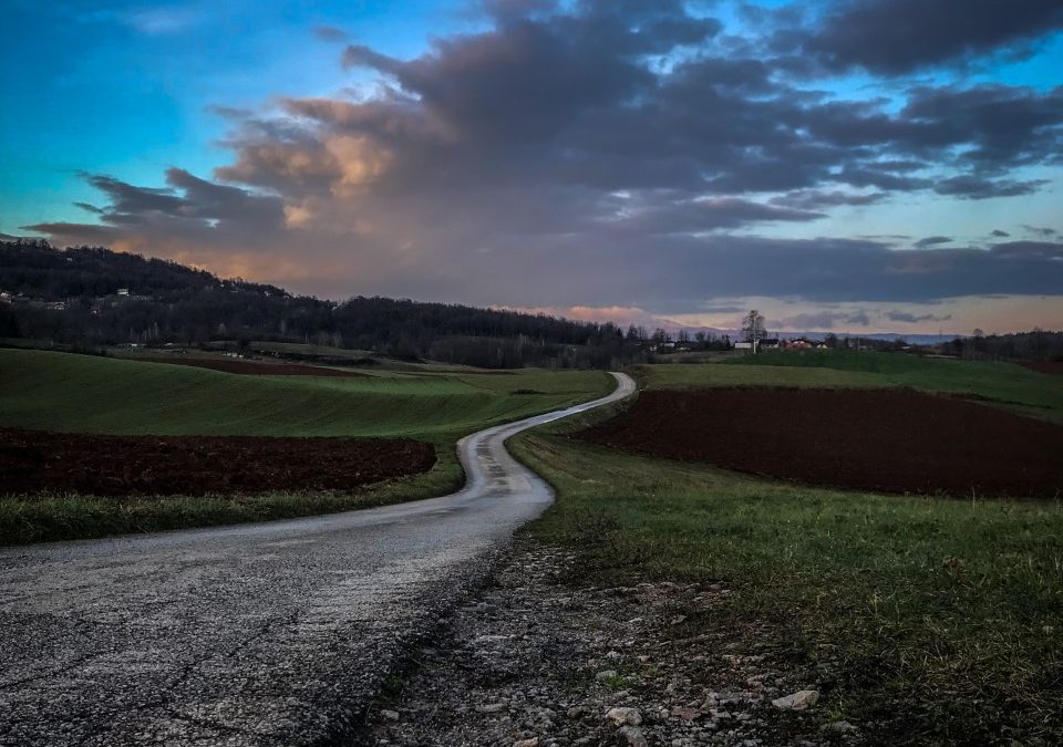 Dosežki  na fotografskem natečaju POGLED 2021