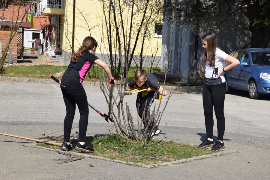 PROJEKT »Dan sajenja medovitih rastlin«