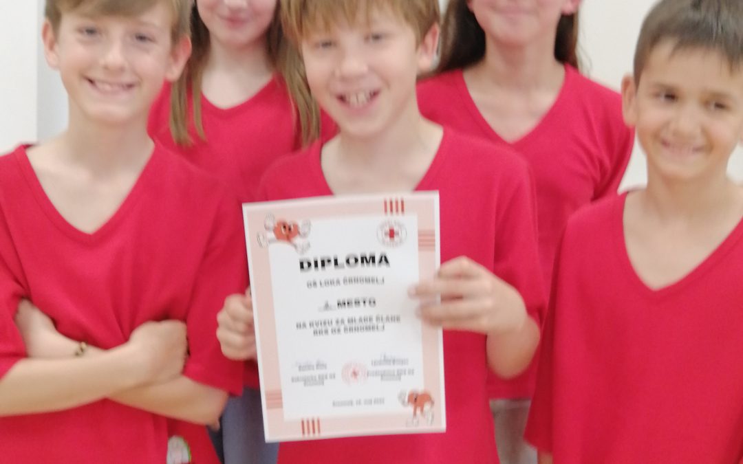 Kviz za mlade člane Rdečega križa v tednu RK