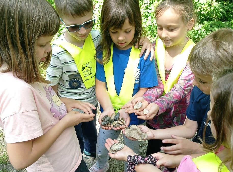 Sprehod do reke Kolpe in naravoslovni dan travnik, 1. razred PŠ Adlešiči