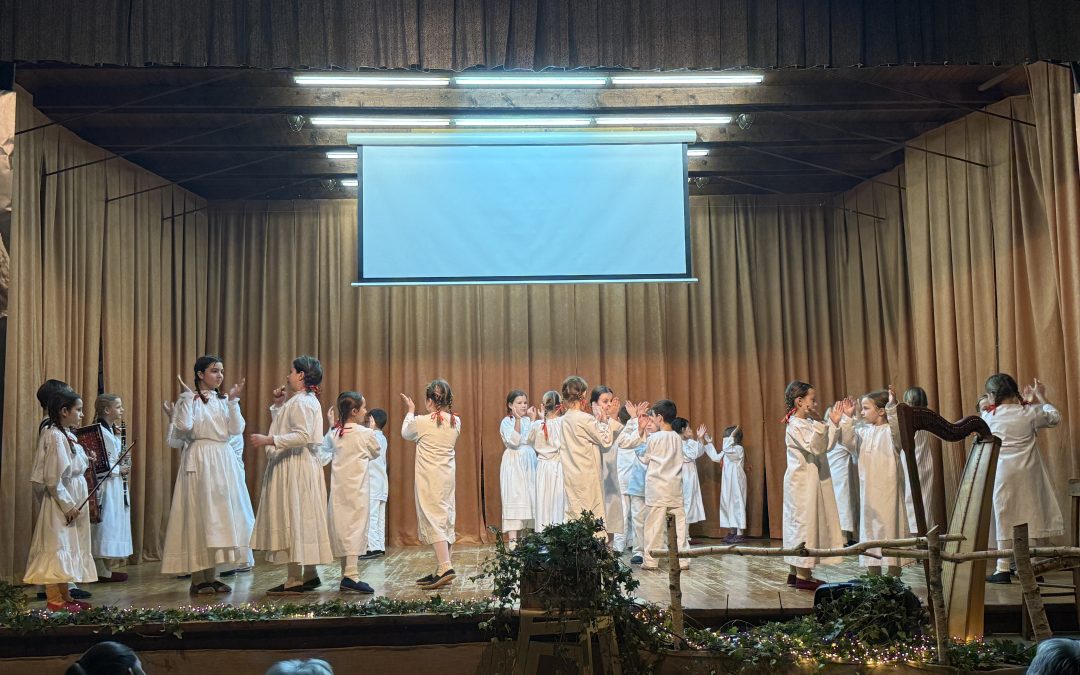 NASTOP FOLKLORNIKOV PŠ ADLEŠIČI NA KONCERTU V ADLEŠIČIH