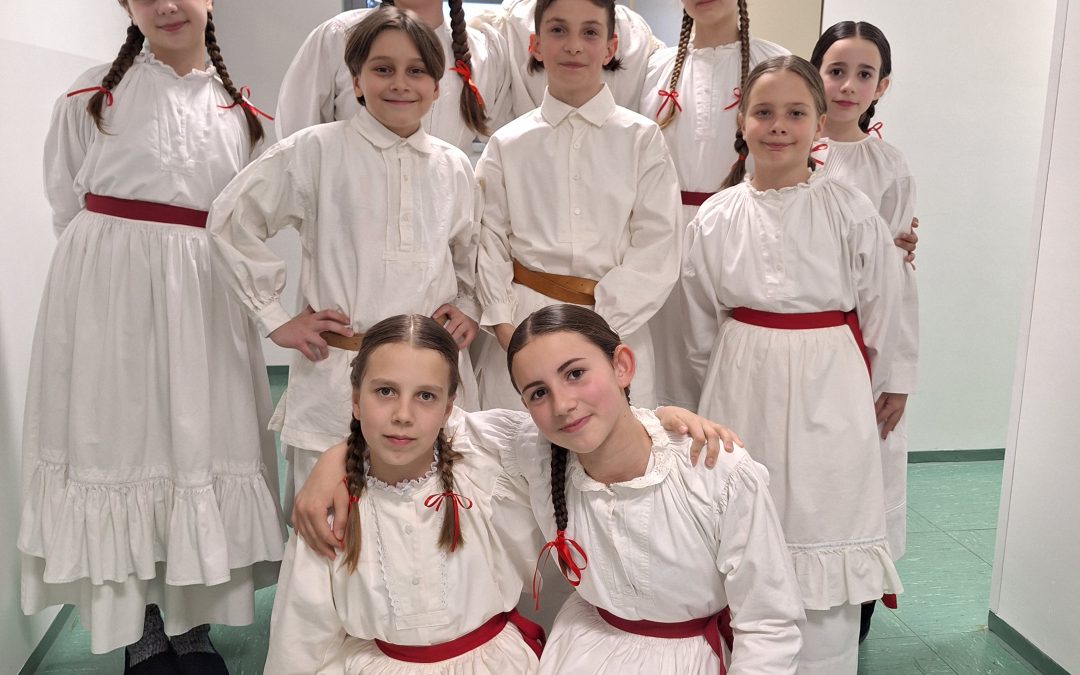 RINGARAJA 2025 v Semiču
