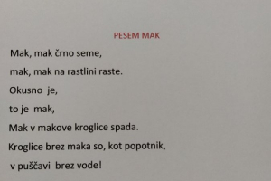 damir-pesem-mak