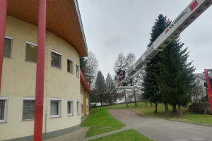 btrhdr