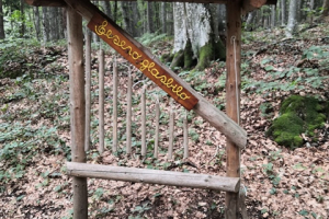mirnagora6