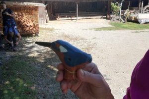 sdr