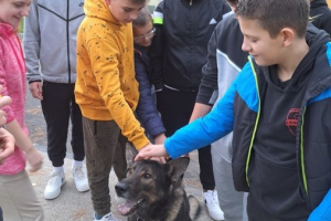 resevalni_psi14