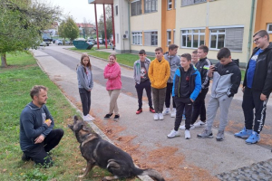 resevalni_psi17