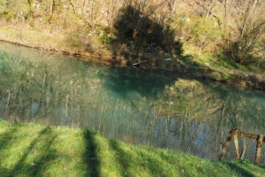 img_20200407_162233